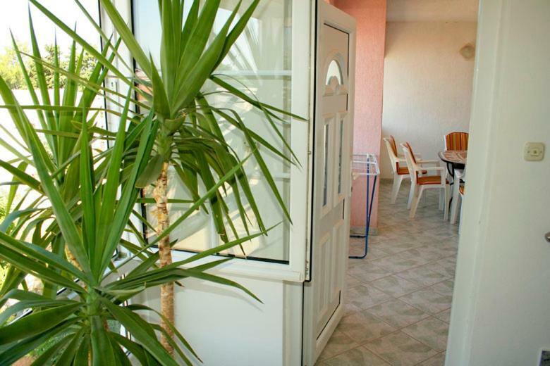 Apartments Mirjana - Stara Novalja Buitenkant foto