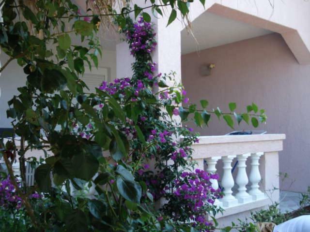 Apartments Mirjana - Stara Novalja Buitenkant foto